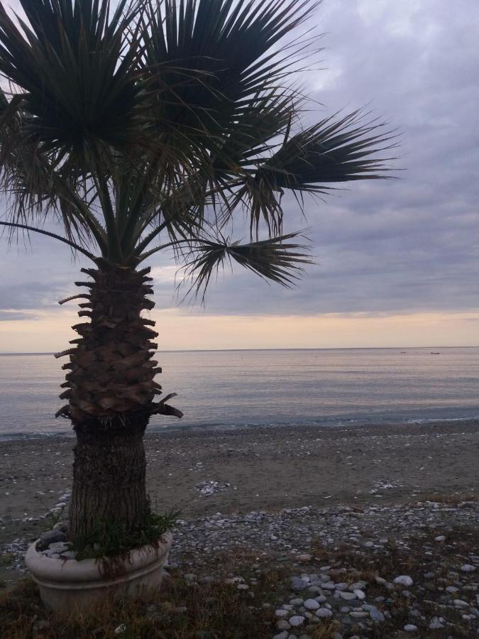 Sea View Apartments Aphrodite Leptokarya  Esterno foto